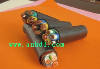 NH-YJV交联聚乙烯绝缘耐火电力电缆http://www.anhdl.com