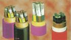 о¼۸BLV VLV-0.6/1KV
