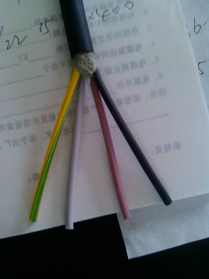 260°C(度)高温电缆 260°C(度)高温电缆