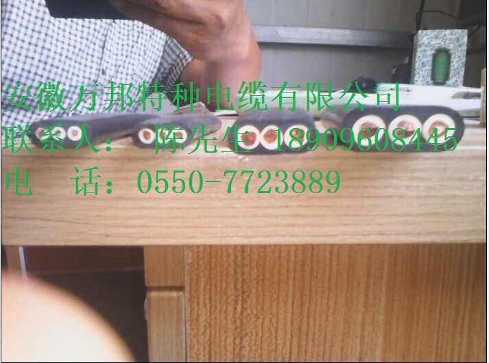 YVFB YVFBP YVFBJ丁腈扁电缆 YVFB YVFBP YVFBJ丁腈扁电缆